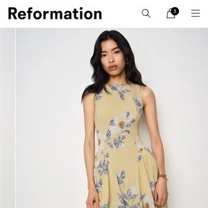 Reformation Anelis Dress in New Day